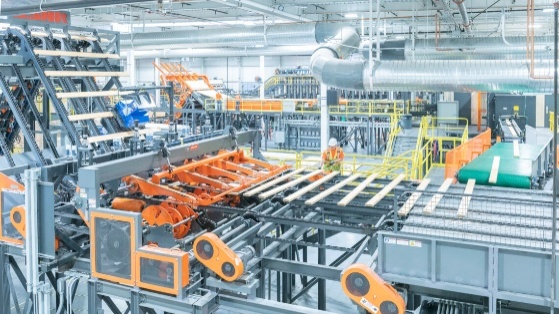 Timber processing machinery in factory